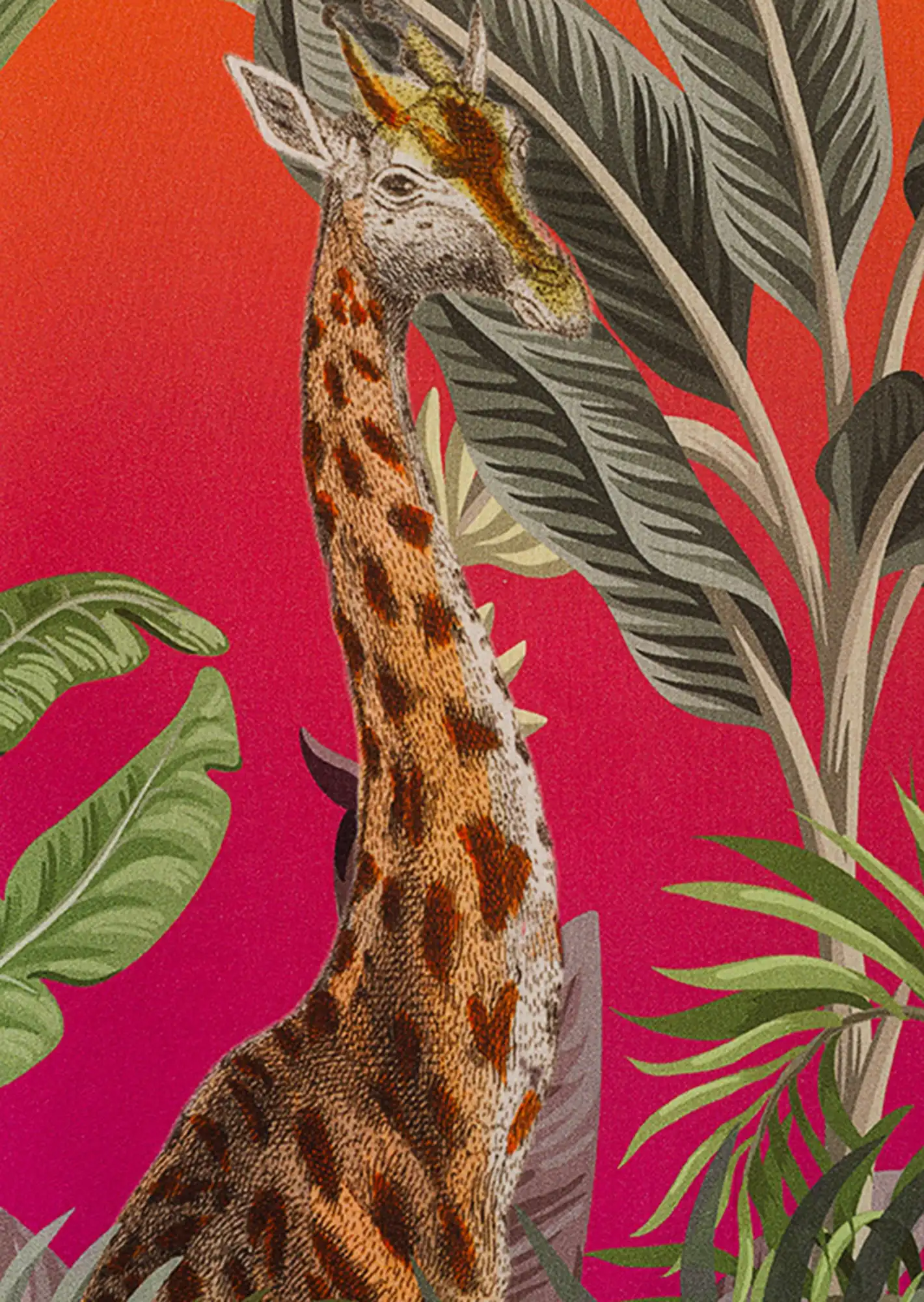 Tunika 'Giraffen', pink-orange